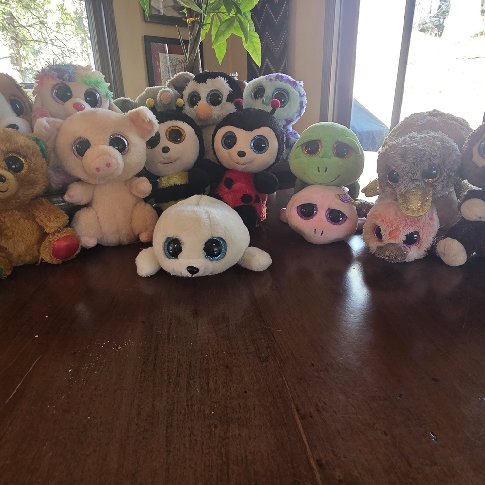 LOT OF 15 TY BEANIES